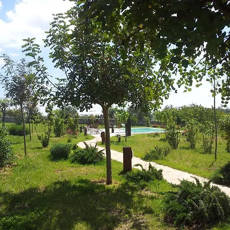 Trulleto - Casa Vacanze Apartament